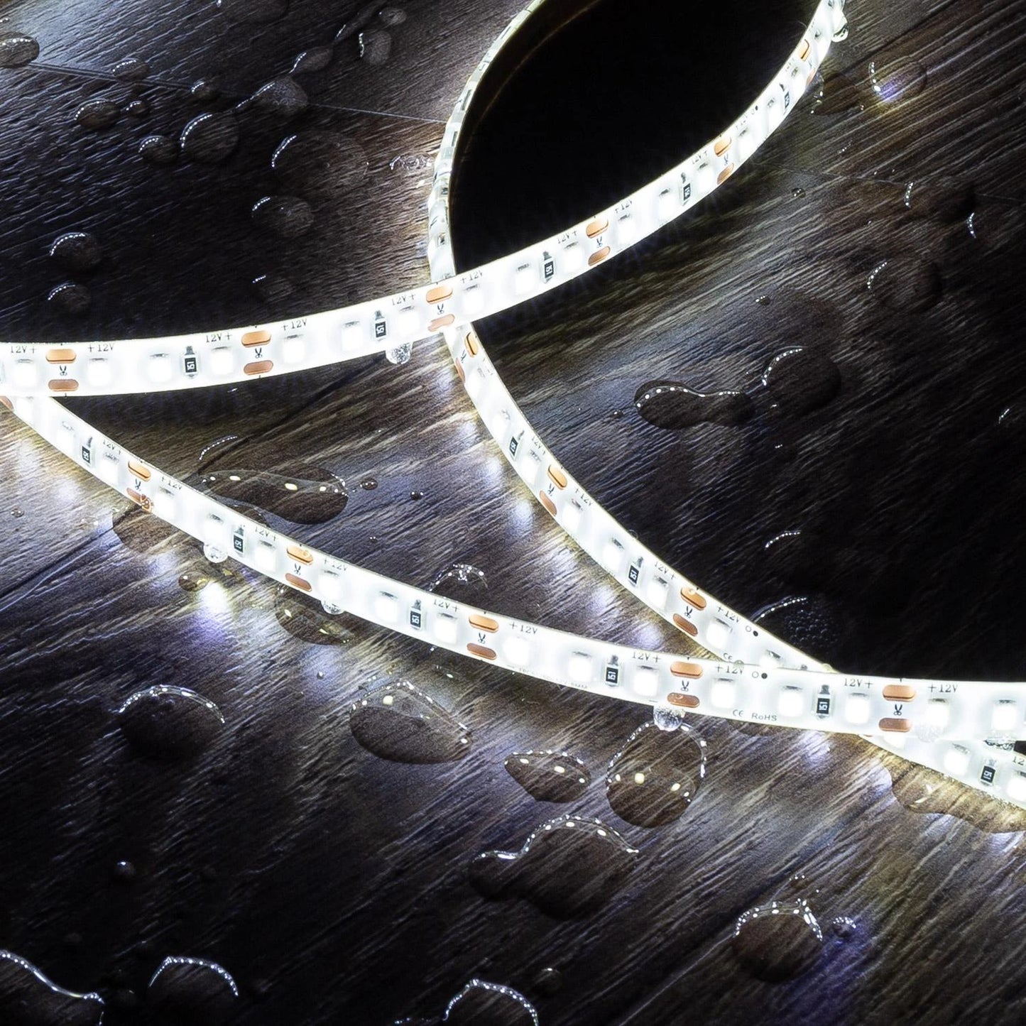 CampTechLED 12 Volt LED-Strip SMD 120 LED/m 5m 10W/m 1000lm/m IP65
