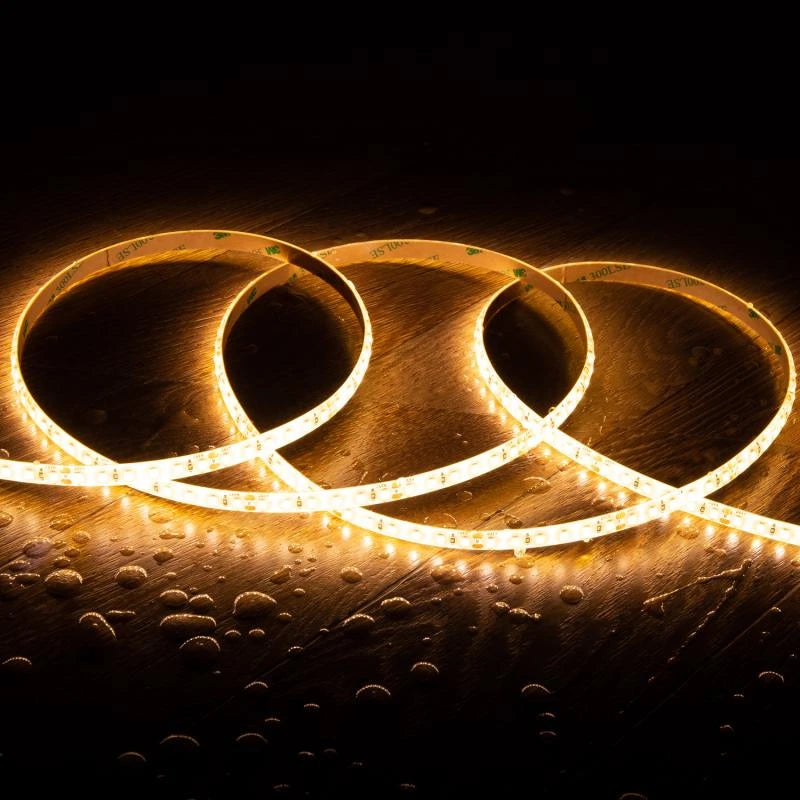 CampTechLED Led Strip 24V SMD 120 LED/m 5m